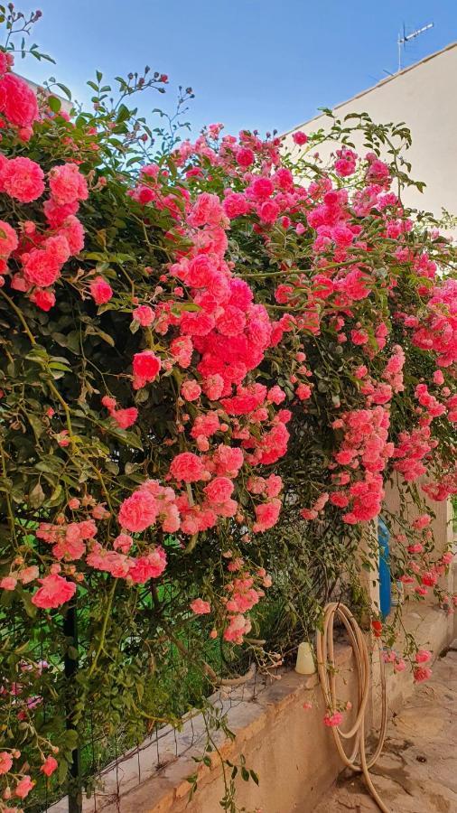 مبيت وإفطار فيلاّسيمِيوس 4 Stagioni المظهر الخارجي الصورة